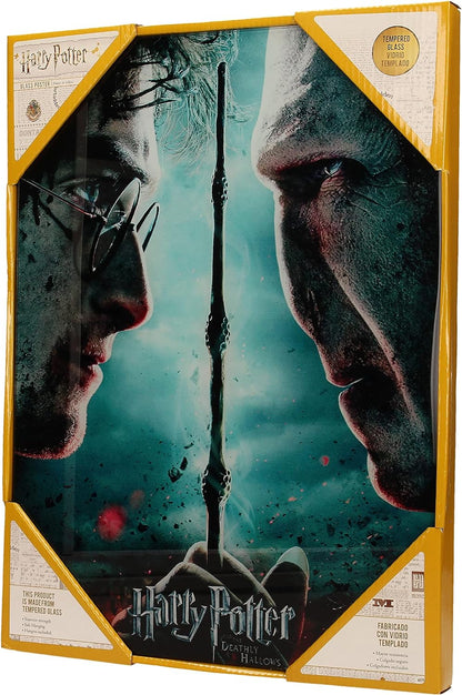 SD toys Poster Harry Potter and Voldemort, Glass Acrylic, Multicoloured, 41x31x3 cm