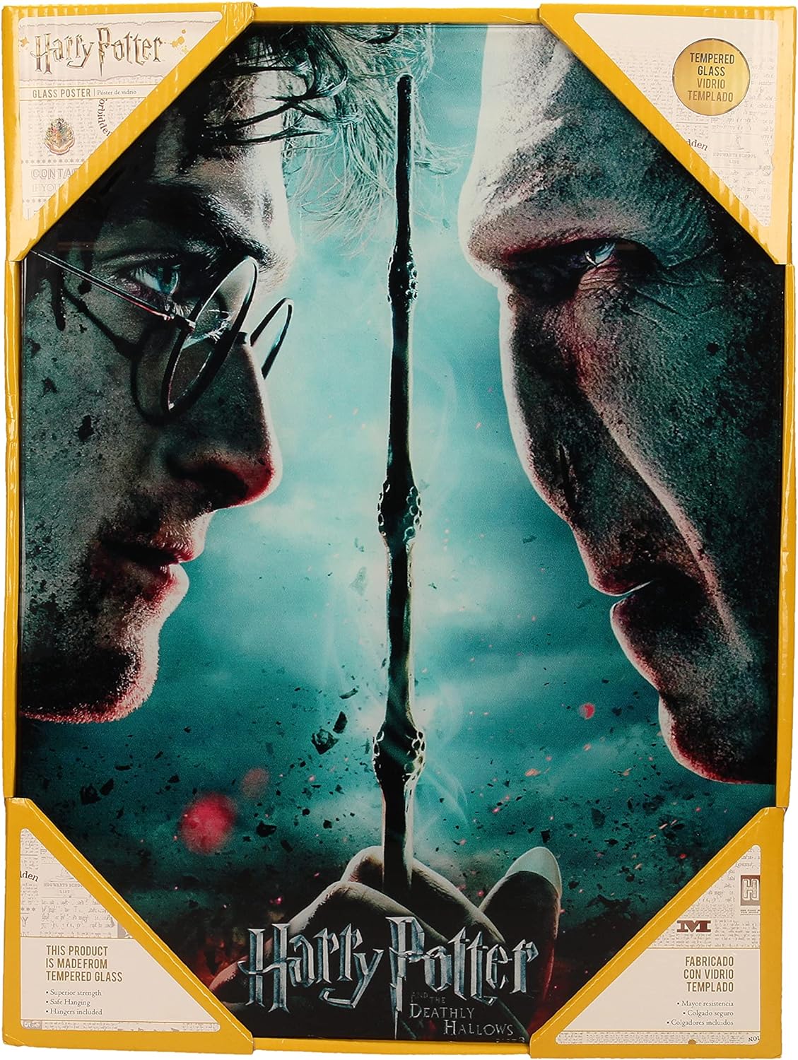 SD toys Poster Harry Potter and Voldemort, Glass Acrylic, Multicoloured, 41x31x3 cm
