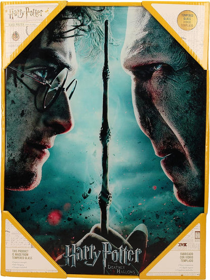 SD toys Poster Harry Potter and Voldemort, Glass Acrylic, Multicoloured, 41x31x3 cm
