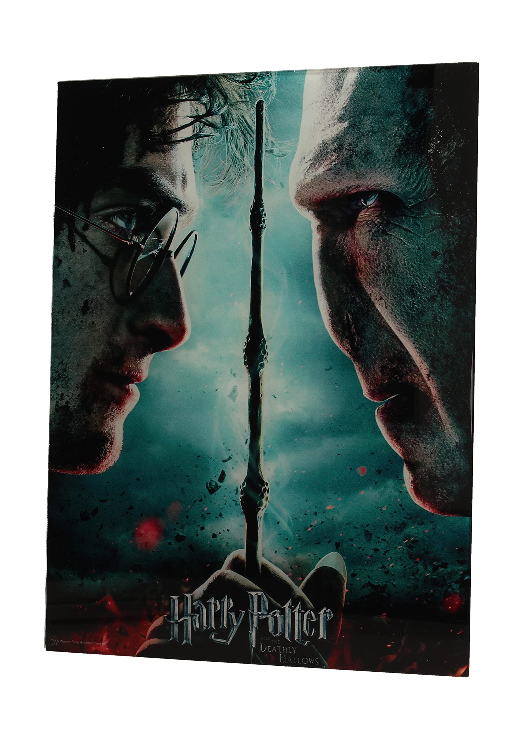SD toys Poster Harry Potter and Voldemort, Glass Acrylic, Multicoloured, 41x31x3 cm