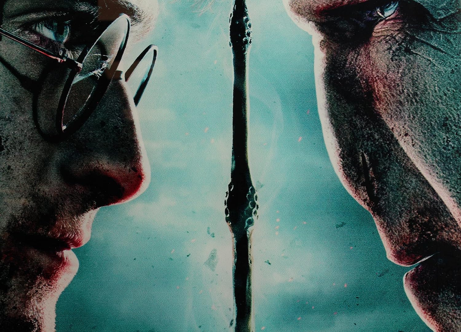 SD toys Poster Harry Potter and Voldemort, Glass Acrylic, Multicoloured, 41x31x3 cm