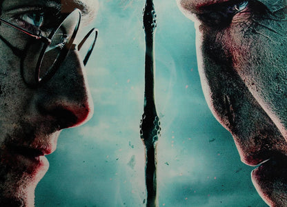 SD toys Poster Harry Potter and Voldemort, Glass Acrylic, Multicoloured, 41x31x3 cm