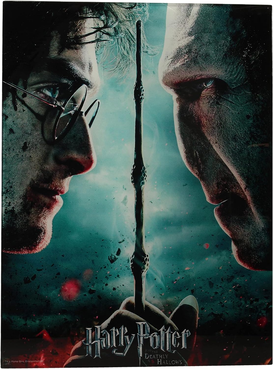 SD toys Poster Harry Potter and Voldemort, Glass Acrylic, Multicoloured, 41x31x3 cm