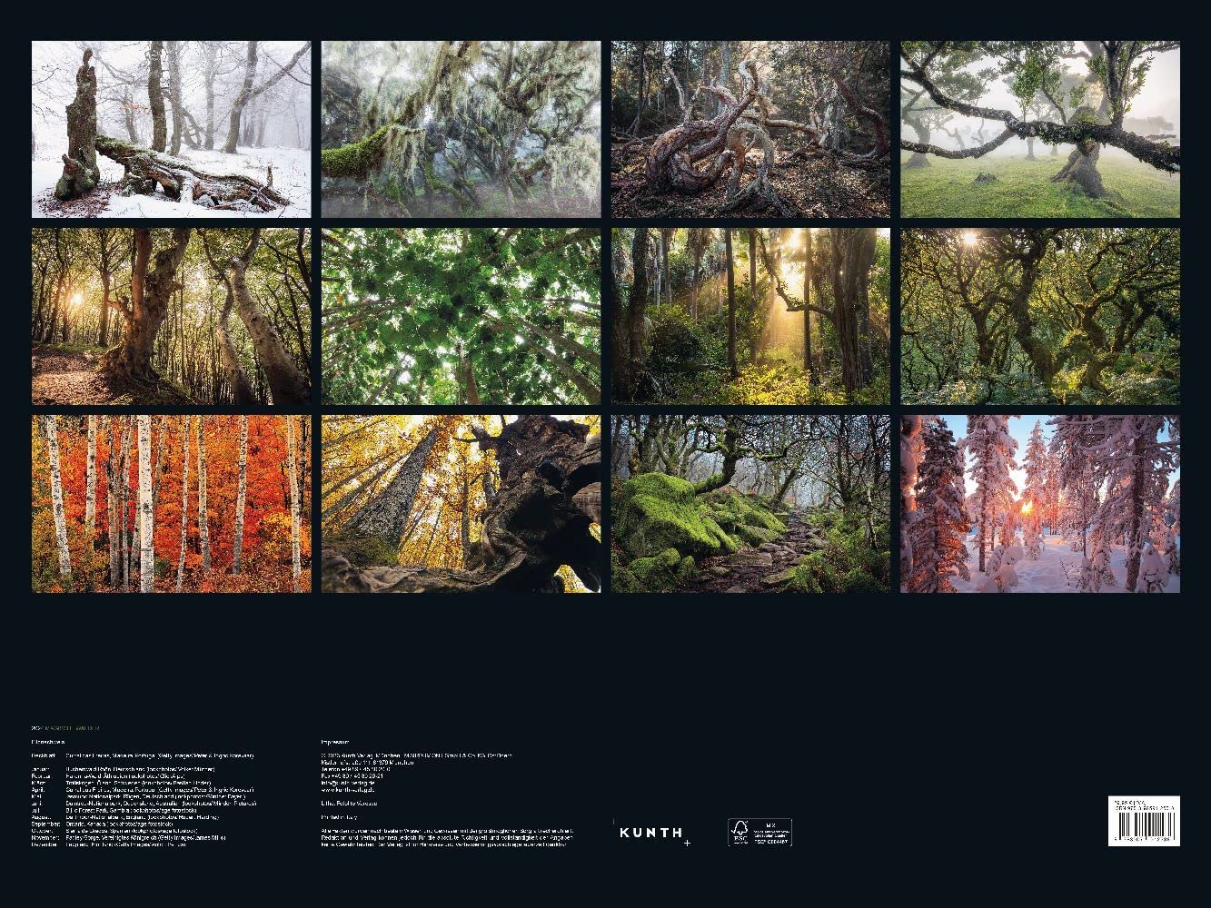 Magische Wälder - KUNTH Wandkalender 2024: Hochwertiger, bildstarker Kalender mit Spiralbindung im Großformat (KUNTH Wandkalender Black Edition 60 x 45 cm)