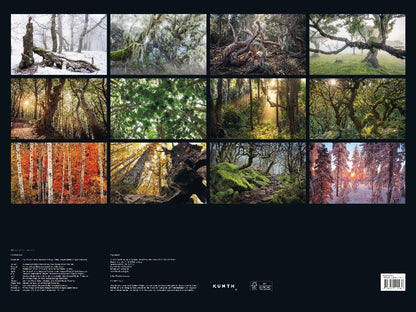 Magische Wälder - KUNTH Wandkalender 2024: Hochwertiger, bildstarker Kalender mit Spiralbindung im Großformat (KUNTH Wandkalender Black Edition 60 x 45 cm)
