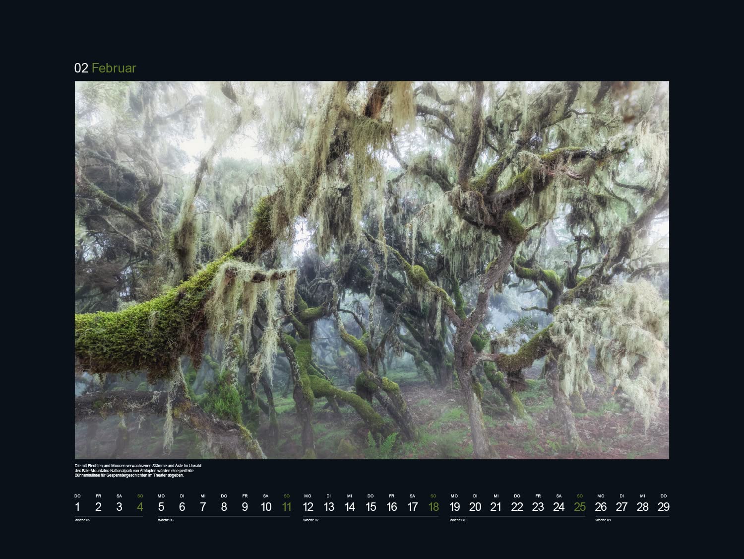 Magische Wälder - KUNTH Wandkalender 2024: Hochwertiger, bildstarker Kalender mit Spiralbindung im Großformat (KUNTH Wandkalender Black Edition 60 x 45 cm)