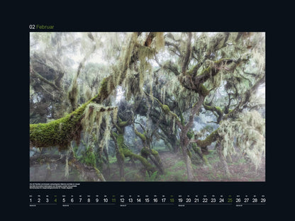 Magische Wälder - KUNTH Wandkalender 2024: Hochwertiger, bildstarker Kalender mit Spiralbindung im Großformat (KUNTH Wandkalender Black Edition 60 x 45 cm)
