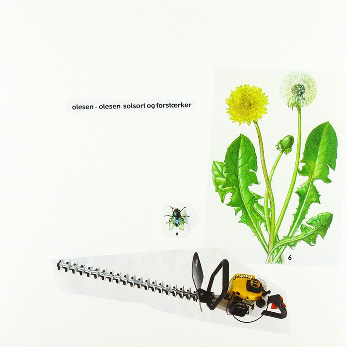 Solsort Og Forstærker