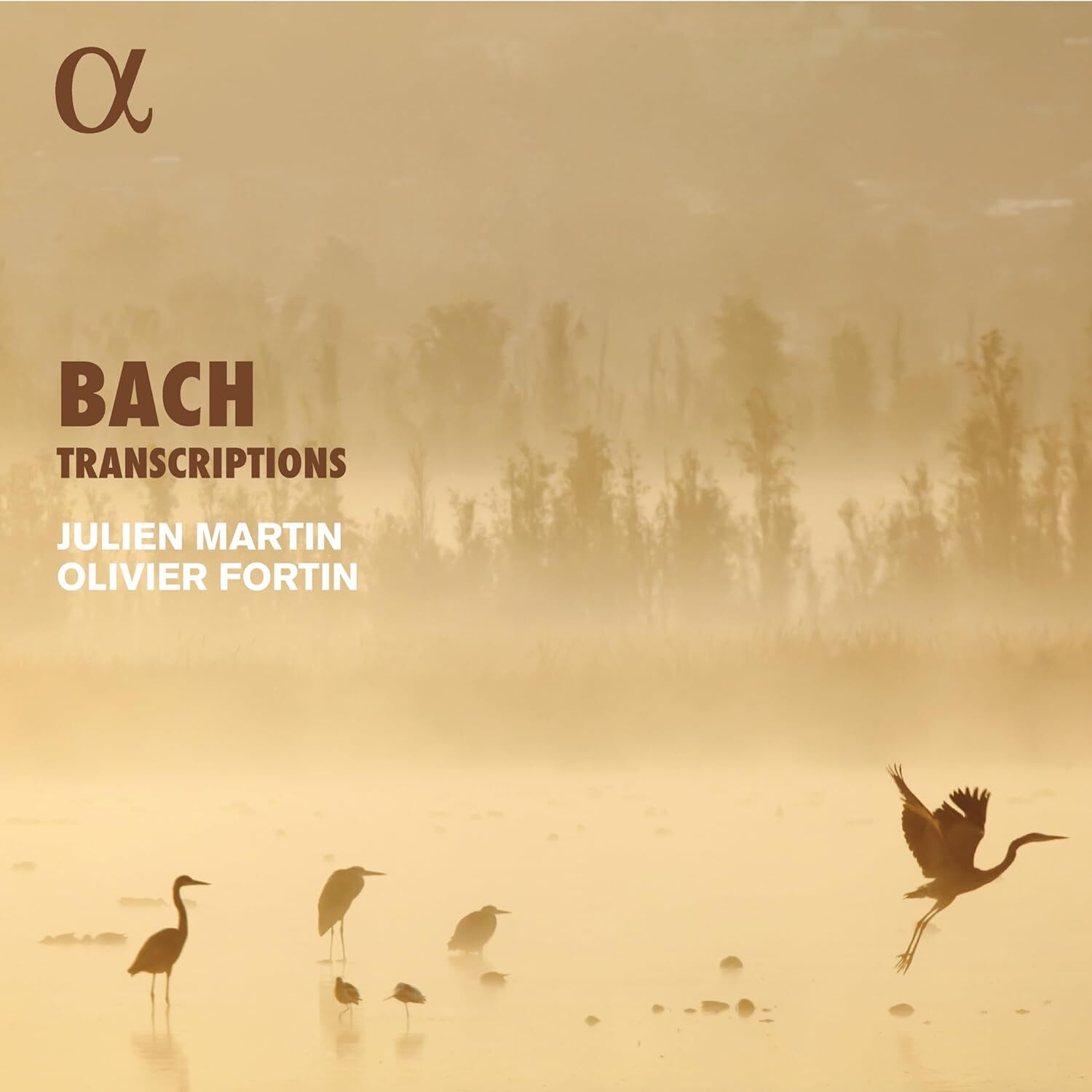 Bach: Transcriptions