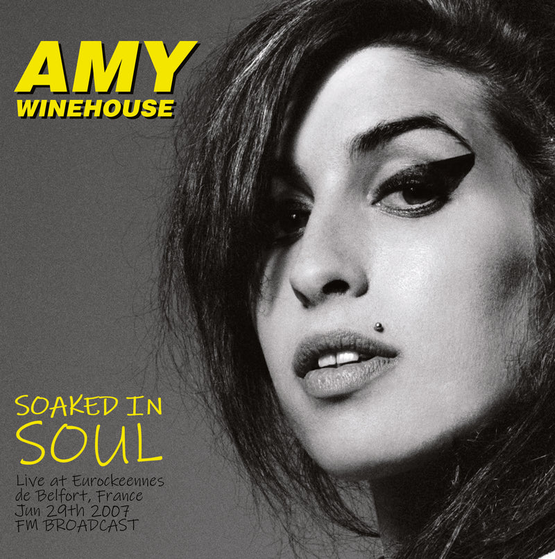 Soaked in Soul: Live at Eurockeennes De Belfort, France - June 29th 2007