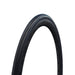 Schwalbe , 11654443