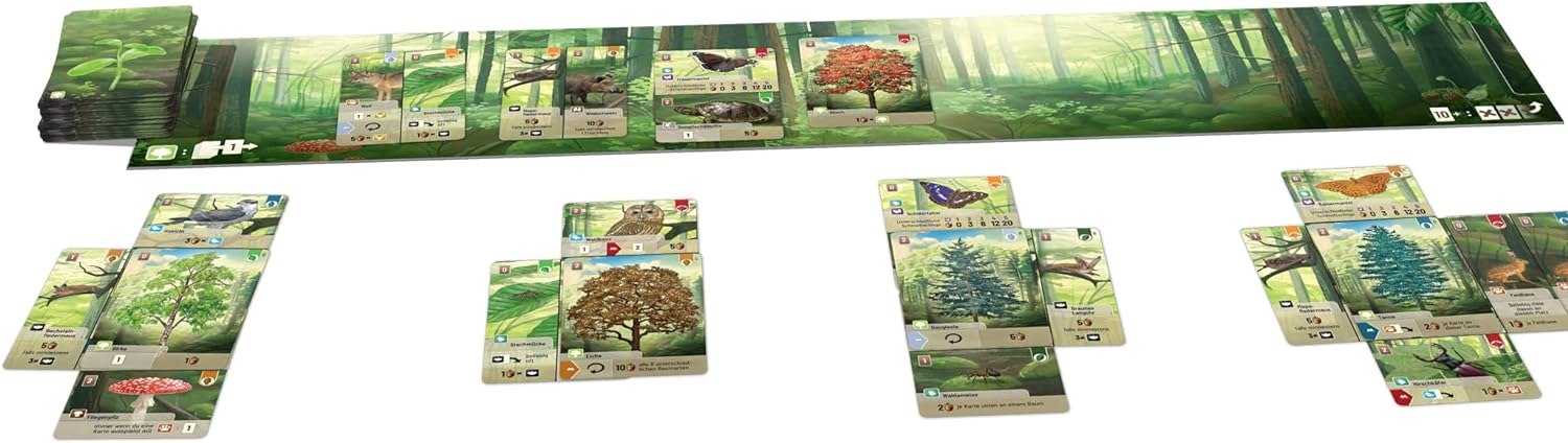 Forest Shuffle Card Game - Clever Strategy Game, Fun Family Game for Kids and Adults Ages 10+, 2-5 Players, Average Playtime 60 Minutes, Made by Lookout Games