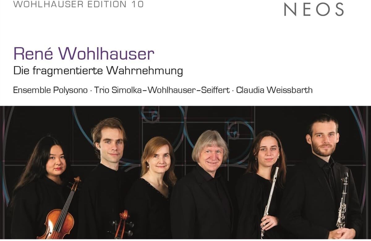 René Wohlhauser: Die Fragmentierte Wahrnehmung