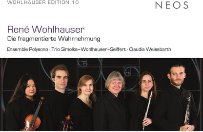 René Wohlhauser: Die Fragmentierte Wahrnehmung