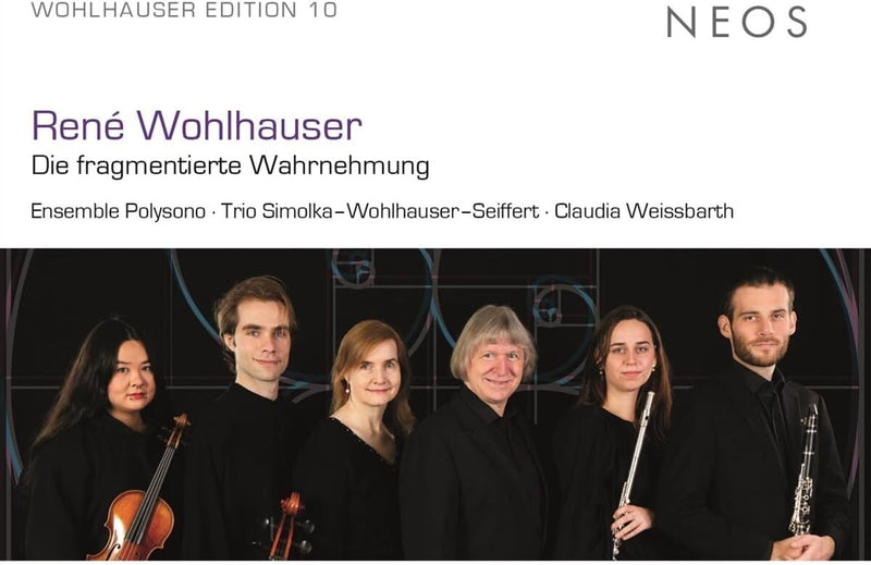 René Wohlhauser: Die Fragmentierte Wahrnehmung