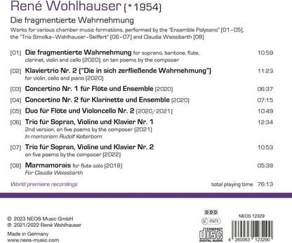 René Wohlhauser: Die Fragmentierte Wahrnehmung