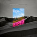 The Rain Museum Pink Vinyl