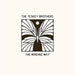 The Teskey Brothers The Winding Way (IEX White) R