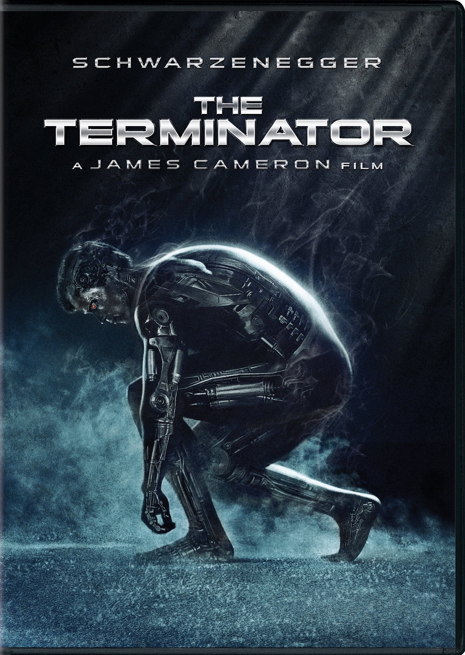 Terminator, The