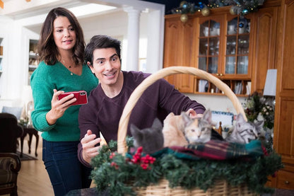 WINNING, DAVID - NEUN KATZCHEN ZU WEIHNACHTEN - EINE SAMTIGE BESCHERUNG 2