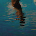 Ao Mar