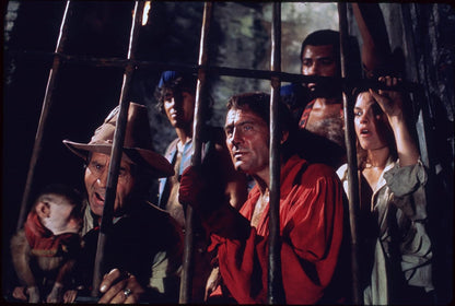 Le pirate des caraïbes