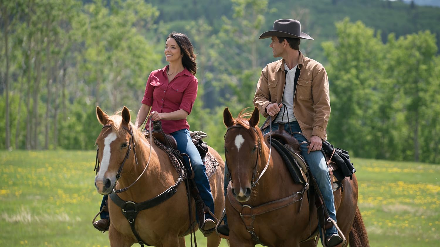 Heartland - Paradies für Pferde, Staffel 10 (Neuauflage)