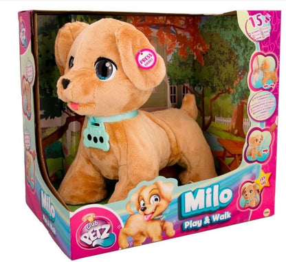 MILO PLAY AND WALK
