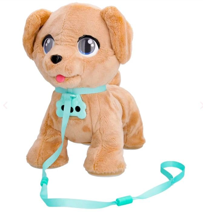 MILO PLAY AND WALK