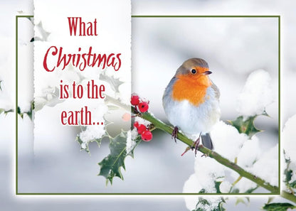 Greeting Cards Assortment Box - Christmas Birds, (KJV) - Christmas Greeting Cards - Motivational Bible Verse Cards - Scripture Cards with Bible Verses - Box of 12