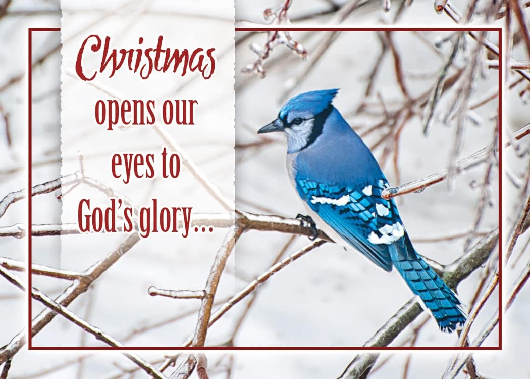 Greeting Cards Assortment Box - Christmas Birds, (KJV) - Christmas Greeting Cards - Motivational Bible Verse Cards - Scripture Cards with Bible Verses - Box of 12