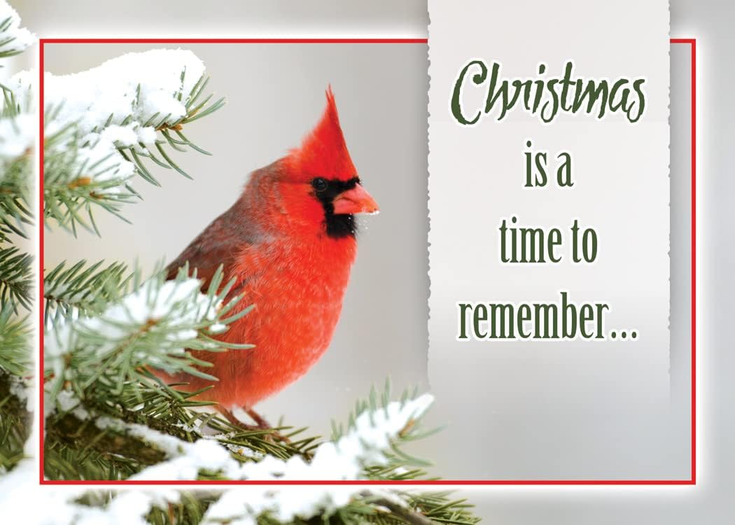 Greeting Cards Assortment Box - Christmas Birds, (KJV) - Christmas Greeting Cards - Motivational Bible Verse Cards - Scripture Cards with Bible Verses - Box of 12