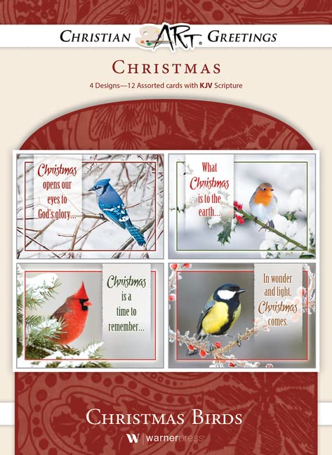 Greeting Cards Assortment Box - Christmas Birds, (KJV) - Christmas Greeting Cards - Motivational Bible Verse Cards - Scripture Cards with Bible Verses - Box of 12