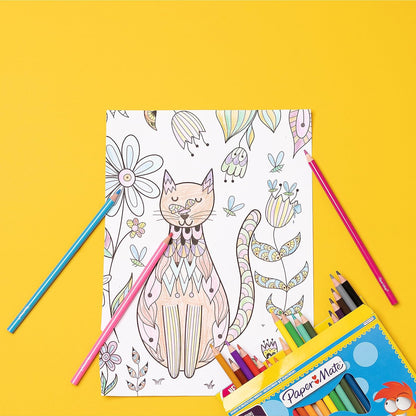 Paper Mate Coloured Pencils for Kids, Pre-sharpened Coloured Pencils, Assorted Colours, 12 Pencils