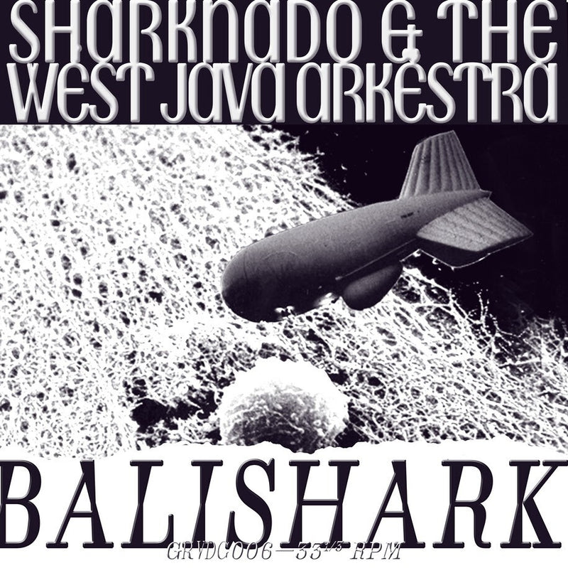 Balishark