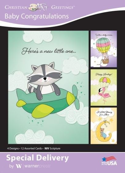 Special Delivery - Boxed Cards - Baby Congratulations - Niv(R)