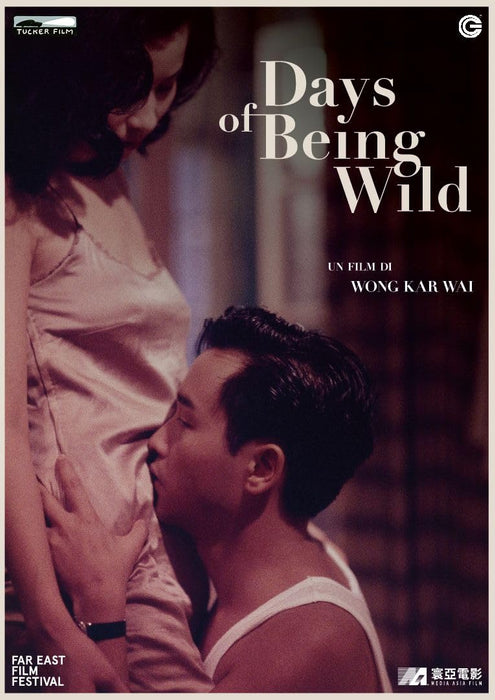 Days Of Being Wild - (Italian Import)