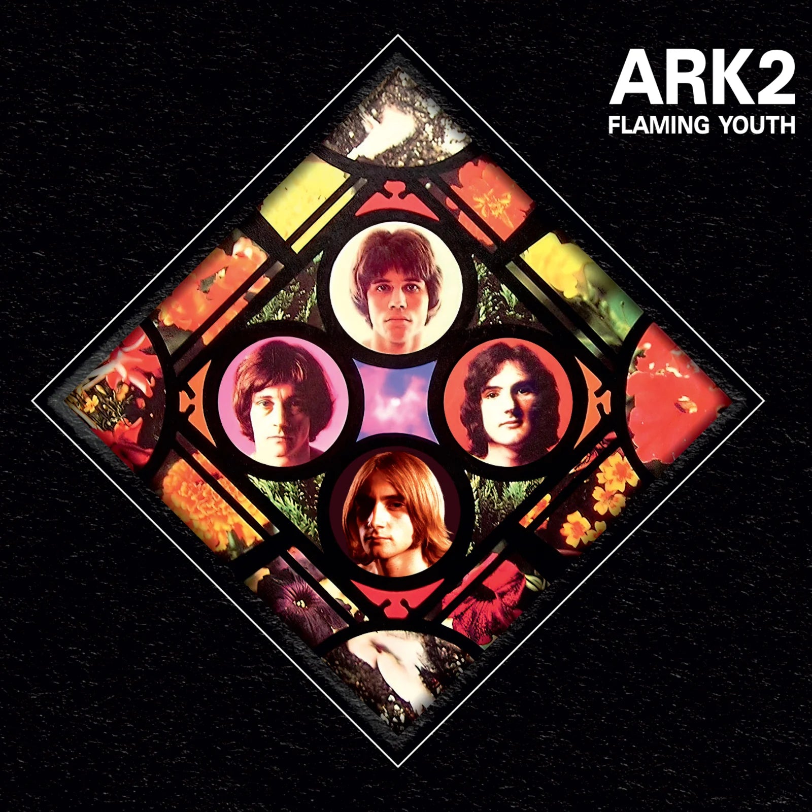 Ark 2