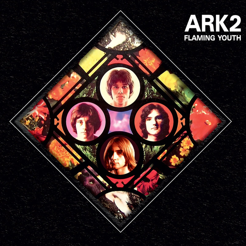 Ark 2