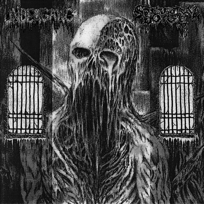Undergang/Spectral Voice