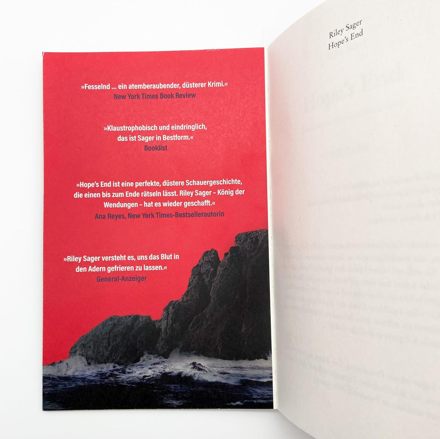 Hope's End: Du kannst niemandem trauen – Thriller | Der neue Thriller des internationalen Bestsellerautors: düster, atmosphärisch, packend.