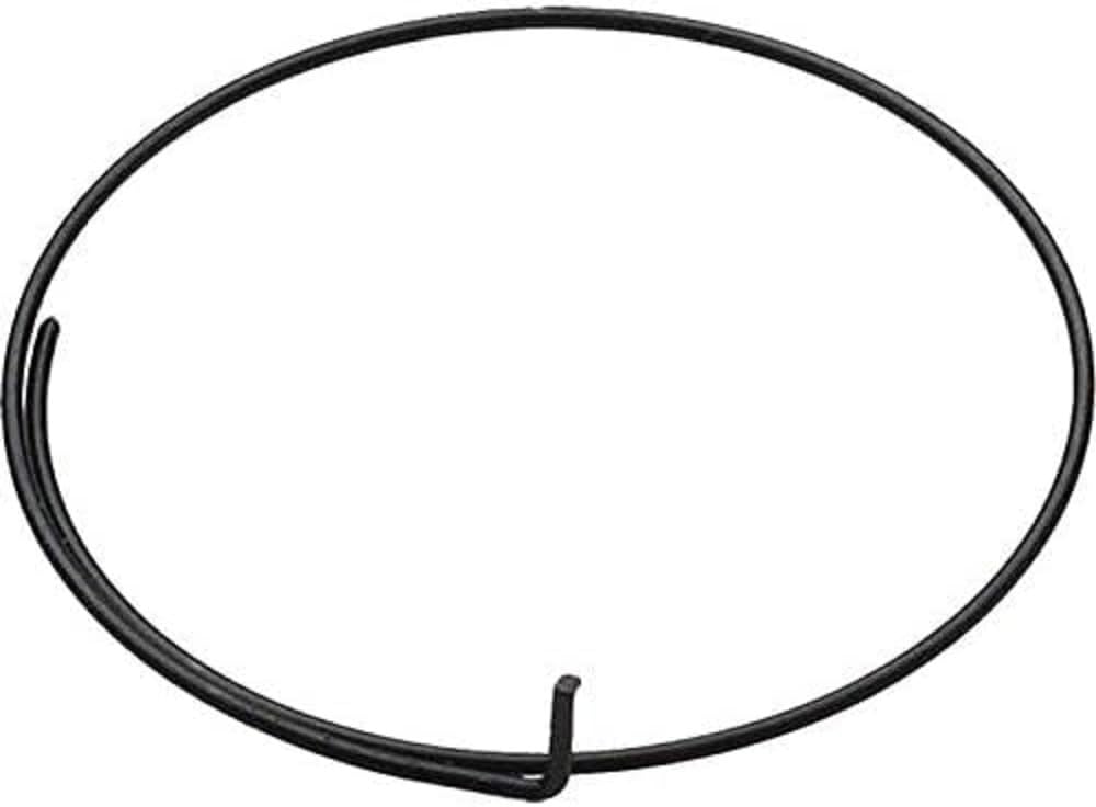 758160 - Muelle para nucleo campagnolo (5u