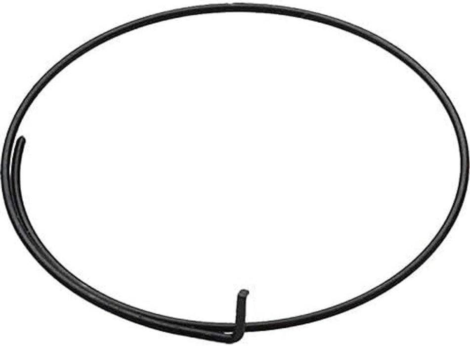 758160 - Muelle para nucleo campagnolo (5u