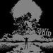 Void