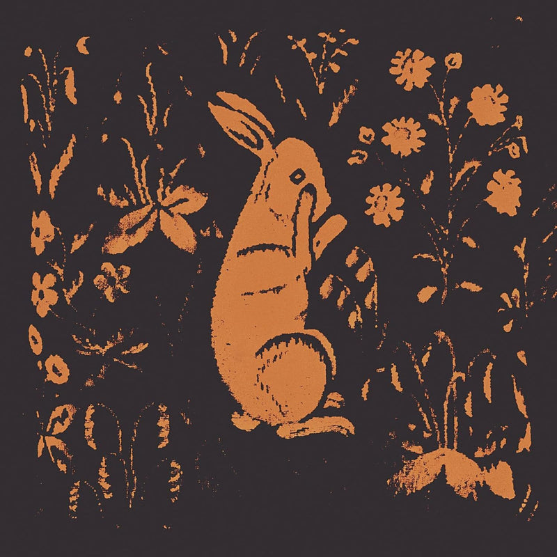 AKA Rabbit