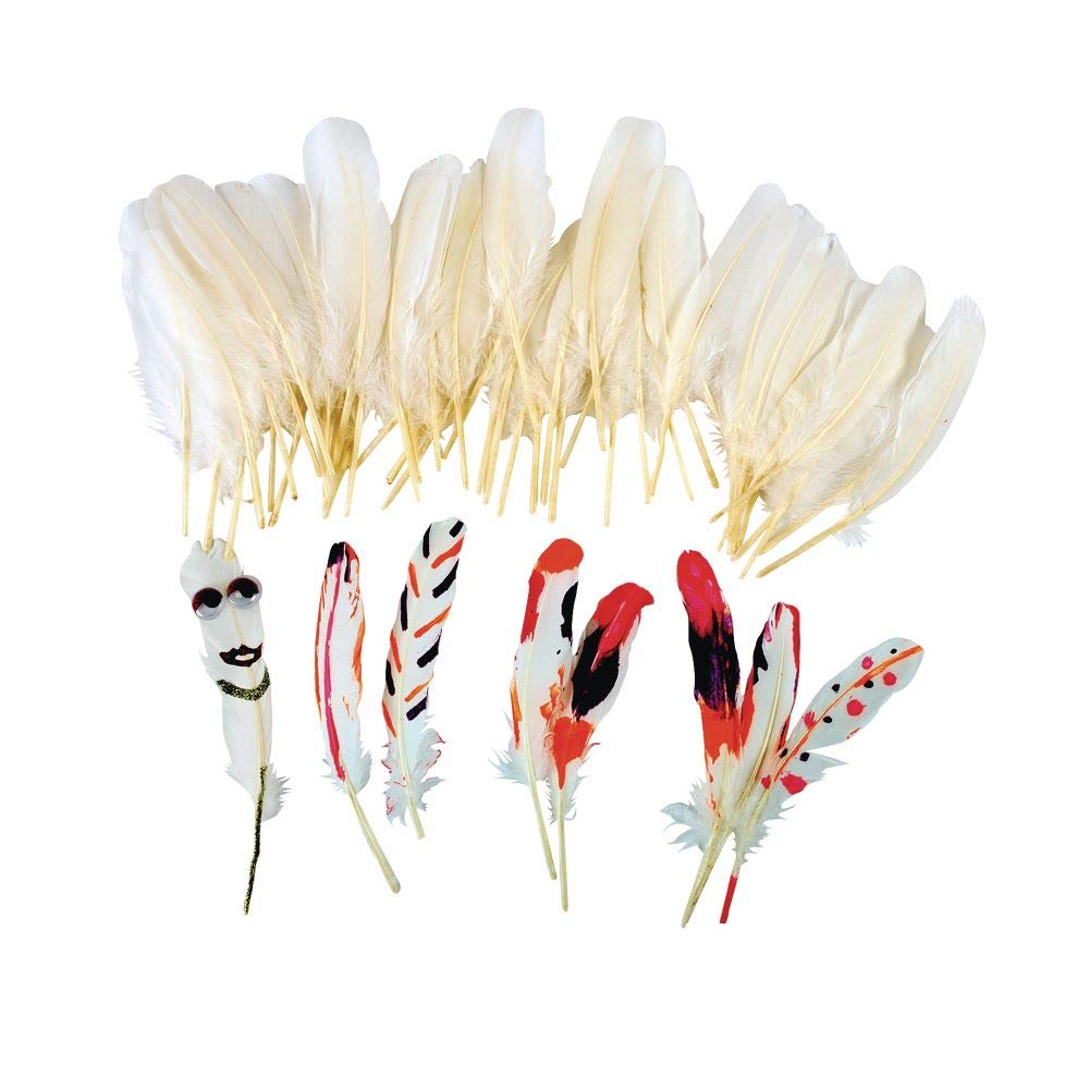 Colorations All Natural White Feathers Set of 48 (Item # WHFEAT