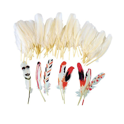 Colorations All Natural White Feathers Set of 48 (Item # WHFEAT