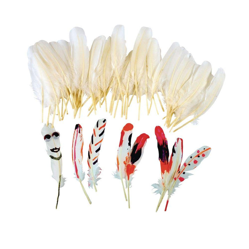 Colorations All Natural White Feathers Set of 48 (Item # WHFEAT