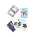 KIKKERLAND Fish 3D Cards