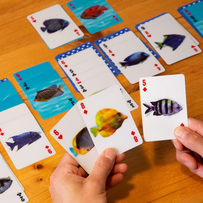 KIKKERLAND Fish 3D Cards